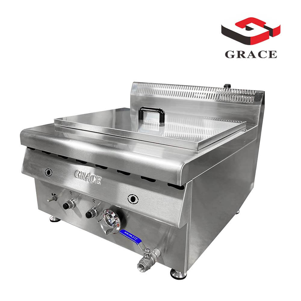 2 Tank Gas Fryer
